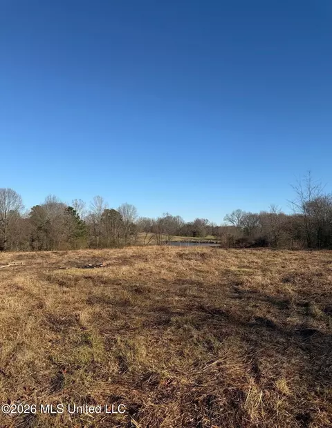 107 Cherrydale Dr, Coldwater, MS 38618