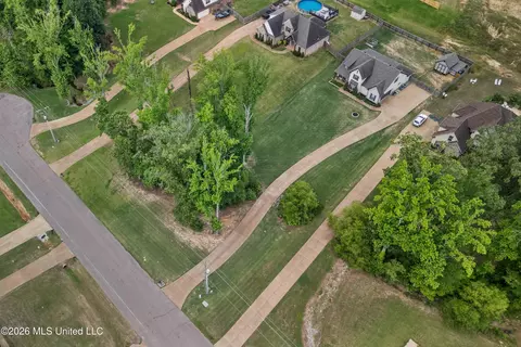 View/Area - 1865 Bakers Trl, Nesbit, MS 38651 photo 1 of 1