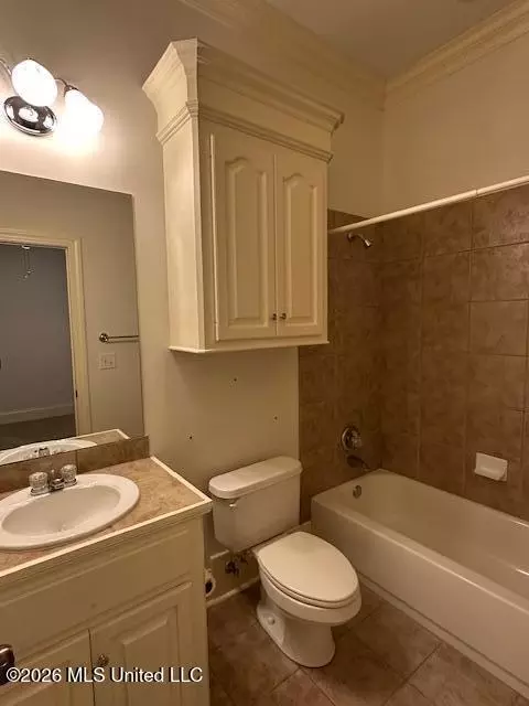 Bath - 236 Highleadon Dr, Madison, MS 39110 photo 6 of 6