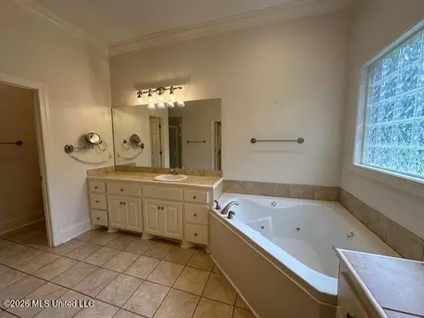 Bath - 236 Highleadon Dr, Madison, MS 39110 photo 1 of 6