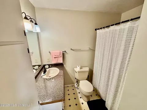 Bath - 1028 Deer Creek Ln, Summit, MS 39666 photo 2 of 2