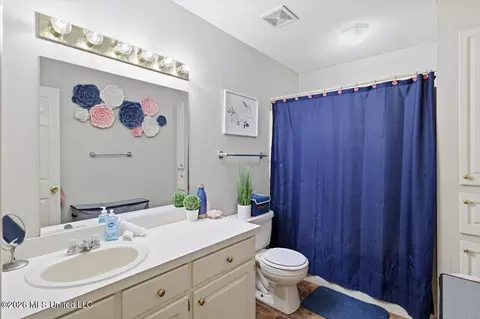Bath - 3079 Willow Dr, Brandon, MS 39042 photo 3 of 3