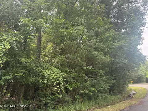 Lundy Williams Road, Moss Point, MS 39562 photo 3