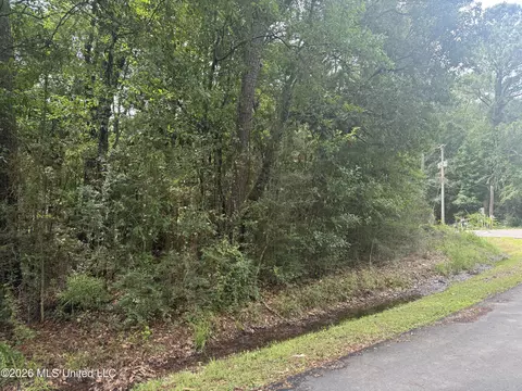 Lundy Williams Road, Moss Point, MS 39562 photo 2