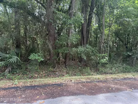 Lundy Williams Road, Moss Point, MS 39562