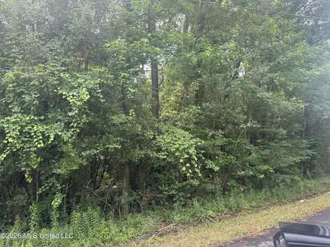 Lundy Williams Road, Moss Point, MS 39562 photo 4