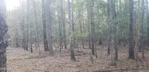 Alden Lane, Summit, MS 39666