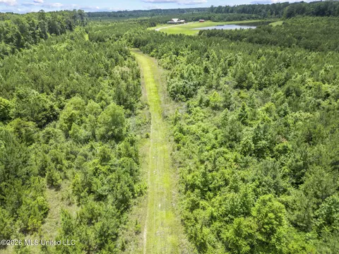 Other - 11281 Mississippi 21, Forest, MS 39074 photo 17 of 32