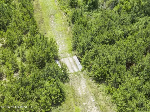 Other - 11281 Mississippi 21, Forest, MS 39074 photo 18 of 32