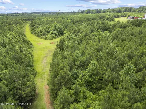 Other - 11281 Mississippi 21, Forest, MS 39074 photo 20 of 32