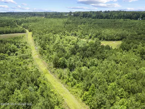 Other - 11281 Mississippi 21, Forest, MS 39074 photo 21 of 32