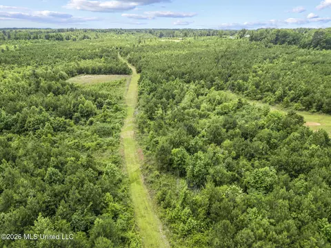 Other - 11281 Mississippi 21, Forest, MS 39074 photo 23 of 32