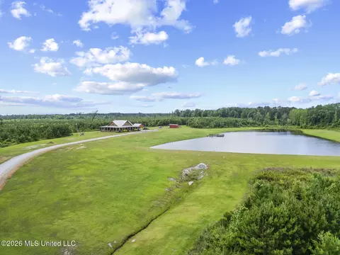 View/Area - 11281 Mississippi 21, Forest, MS 39074 photo 3 of 11