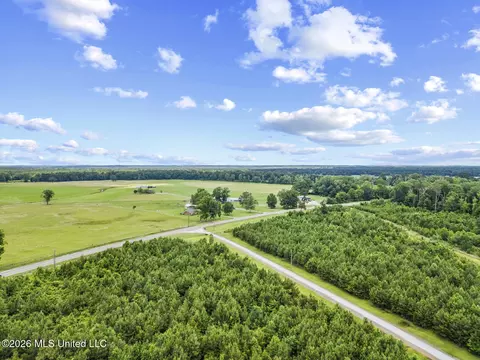 View/Area - 11281 Mississippi 21, Forest, MS 39074 photo 1 of 11