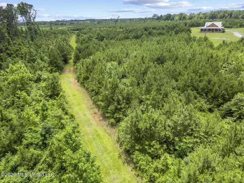 Other - 11281 Mississippi 21, Forest, MS 39074 photo 19 of 32