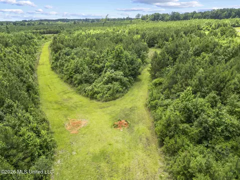 Other - 11281 Mississippi 21, Forest, MS 39074 photo 22 of 32