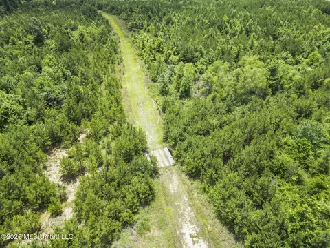 Other - 11281 Mississippi 21, Forest, MS 39074 photo 14 of 32