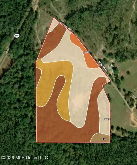 5734 Hebron Rd, Liberty, MS 39645 photo 31