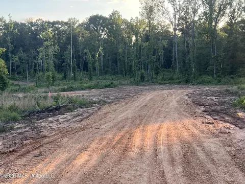 5734 Hebron Rd, Liberty, MS 39645 photo 4
