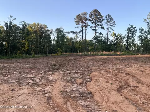 5734 Hebron Rd, Liberty, MS 39645 photo 8