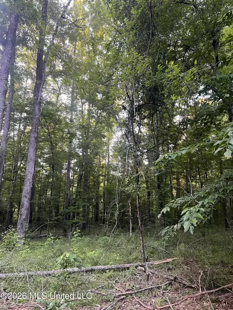 5734 Hebron Rd, Liberty, MS 39645 photo 26