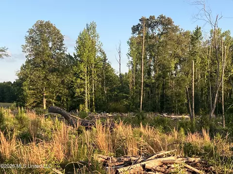 5734 Hebron Rd, Liberty, MS 39645 photo 18