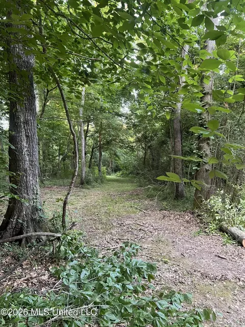 5734 Hebron Rd, Liberty, MS 39645 photo 27