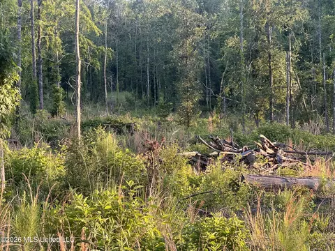 5734 Hebron Rd, Liberty, MS 39645 photo 19
