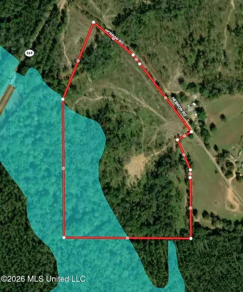5734 Hebron Rd, Liberty, MS 39645 photo 29