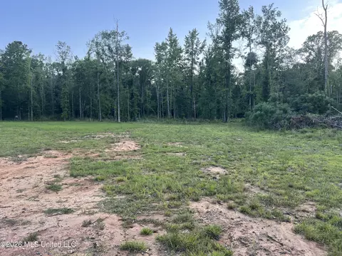 5734 Hebron Rd, Liberty, MS 39645 photo 7