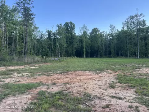 5734 Hebron Rd, Liberty, MS 39645 photo 24