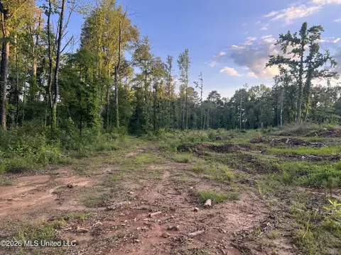 5734 Hebron Rd, Liberty, MS 39645 photo 20