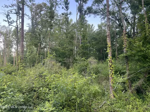 5734 Hebron Rd, Liberty, MS 39645 photo 10