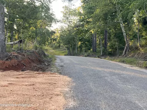 5734 Hebron Rd, Liberty, MS 39645 photo 2