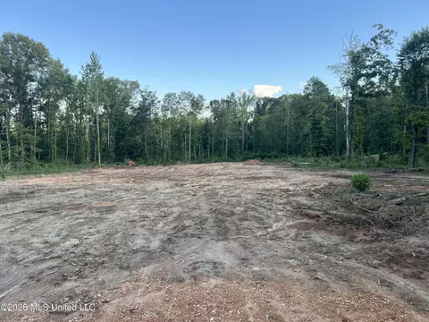 5734 Hebron Rd, Liberty, MS 39645 photo 5