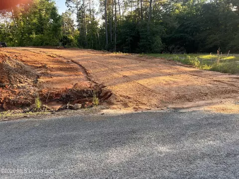 5734 Hebron Rd, Liberty, MS 39645 photo 3