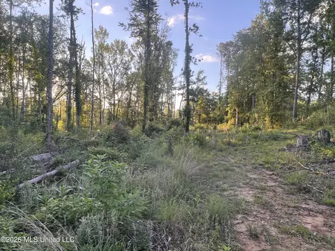 5734 Hebron Rd, Liberty, MS 39645 photo 16