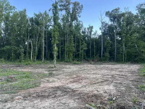 5734 Hebron Rd, Liberty, MS 39645 photo 6
