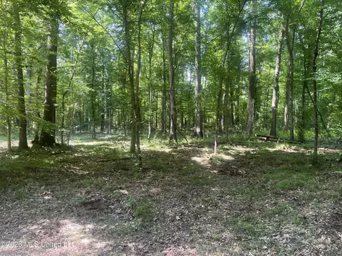 5734 Hebron Rd, Liberty, MS 39645 photo 23