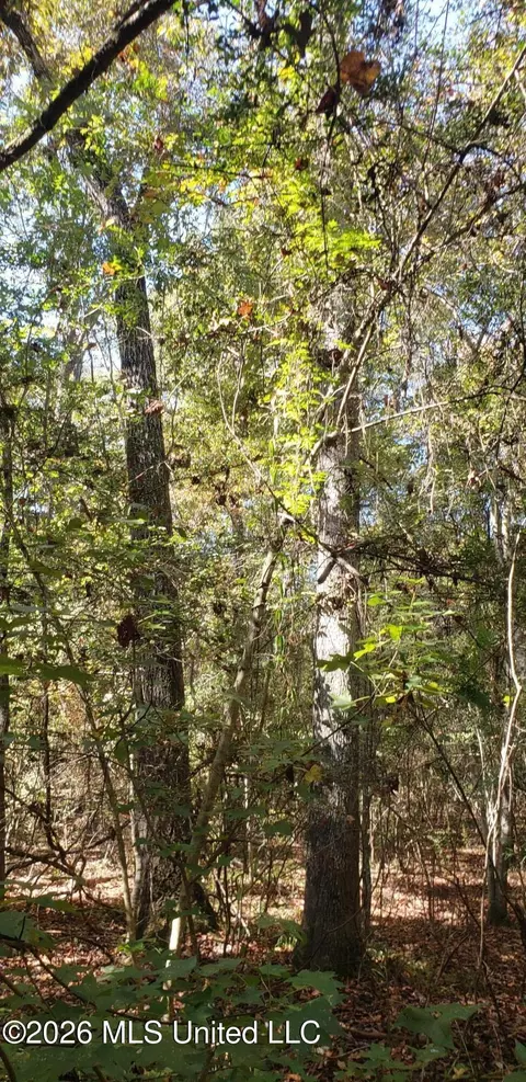 Us Highway 98, Summit, MS 39666 photo 4