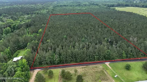 Davis Road, Morton, MS 39117