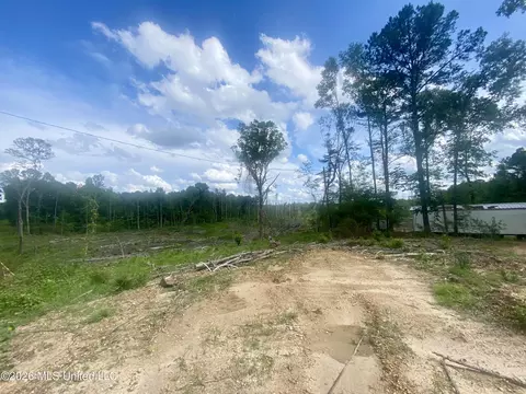 4194 Martinsville Rd, Wesson, MS 39191 photo 8