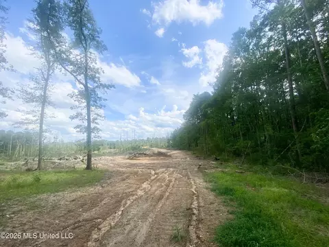 4194 Martinsville Rd, Wesson, MS 39191 photo 6
