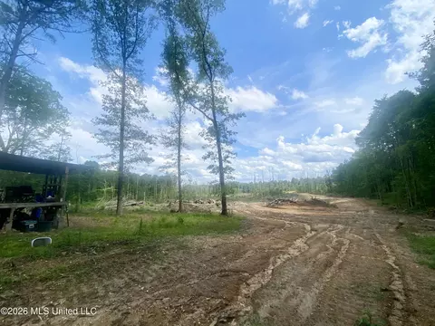 4194 Martinsville Rd, Wesson, MS 39191