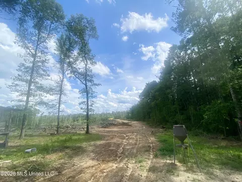 4194 Martinsville Rd, Wesson, MS 39191 photo 5