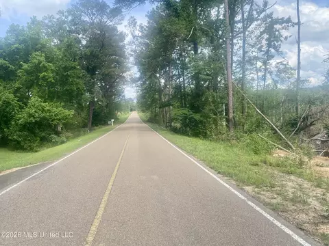 4194 Martinsville Rd, Wesson, MS 39191 photo 9