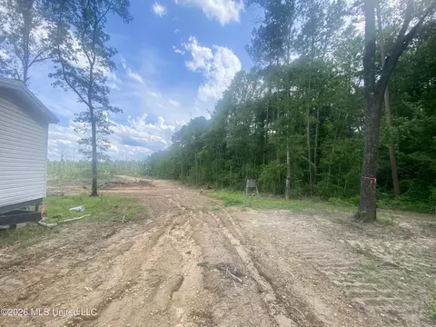 4194 Martinsville Rd, Wesson, MS 39191 photo 3