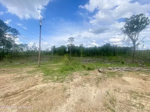 4194 Martinsville Rd, Wesson, MS 39191 photo 4