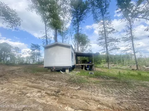 4194 Martinsville Rd, Wesson, MS 39191 photo 2