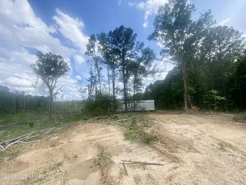 4194 Martinsville Rd, Wesson, MS 39191 photo 7